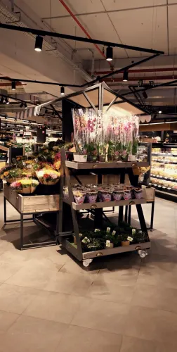 Delhaize Antwerpen